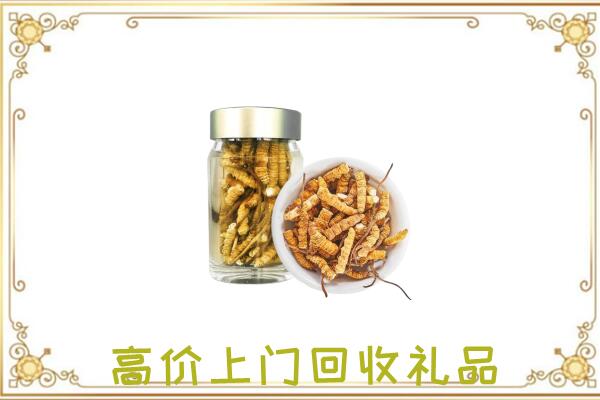 南通市周边回收虫草